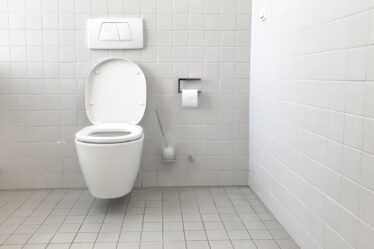 toilet