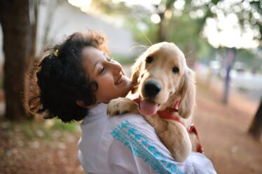 key considerations for you before welcoming a dog into your home